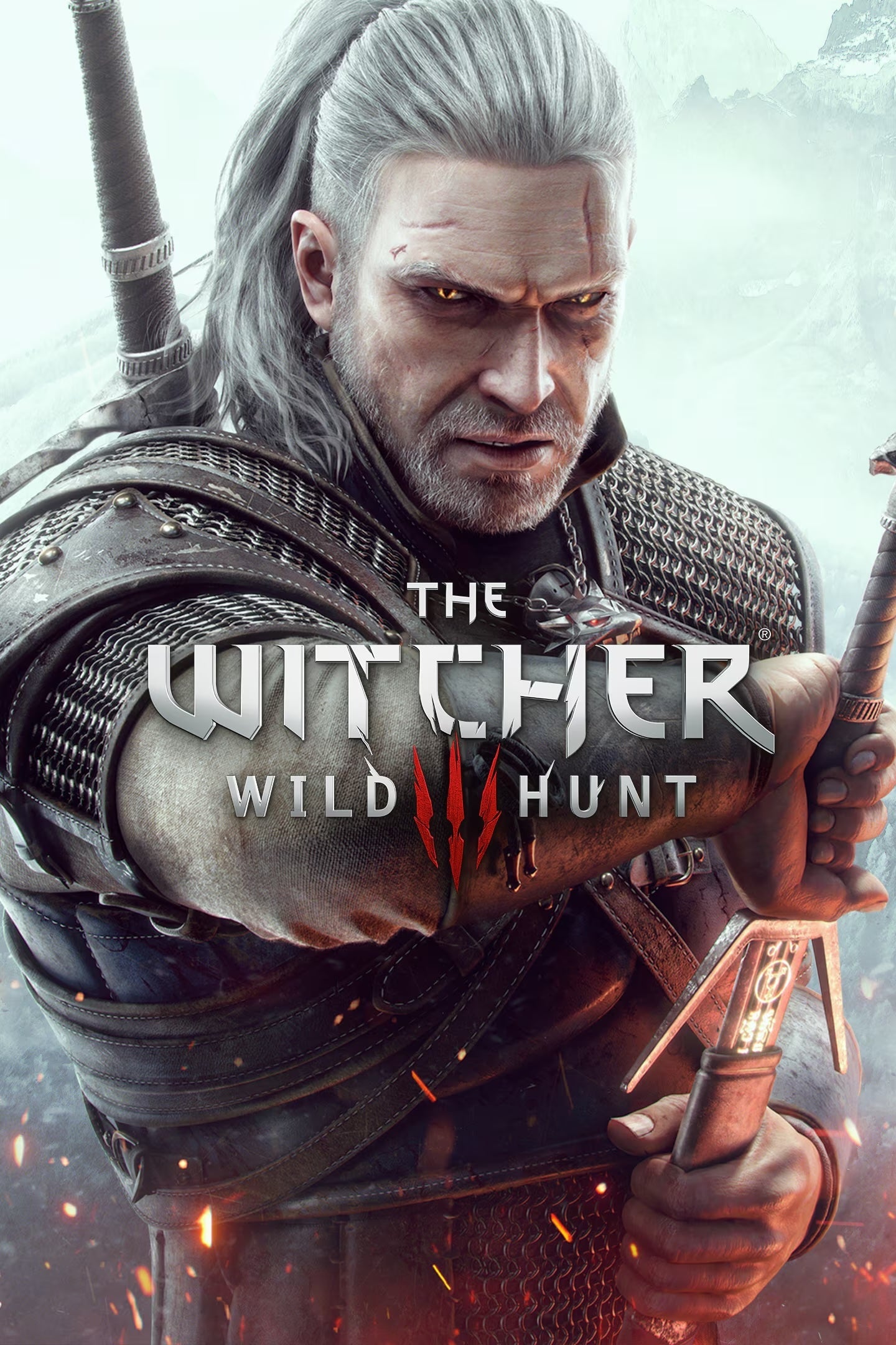 The Witcher